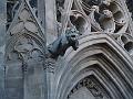 Limoux Castle gargoyle